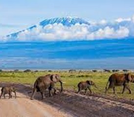 5-Daagse Luxueuze Safari in Amboseli National Park en Lake Naivasha, Kenia - Photo 4