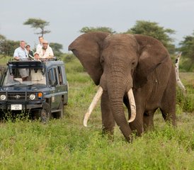 4 Tage Gruppen-Camping-Safari im Lake-Manyara-Nationalpark, Tarangire-Nationalpark und Ngorongoro-Krater in Tansani - Photo 2