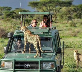 8-Daagse Gnoemigratie Safari Avonturen in Masai Mara, Kenia - Photo 5