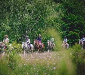 7 Tage Reiturlaub zur Entdeckung der Verborgenen Pfade und der Kultur Siebenbürgens, Rumänien - Photo 4