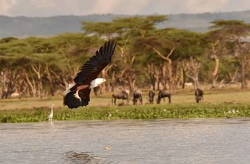 4 Day Camping Safari in Tanzania