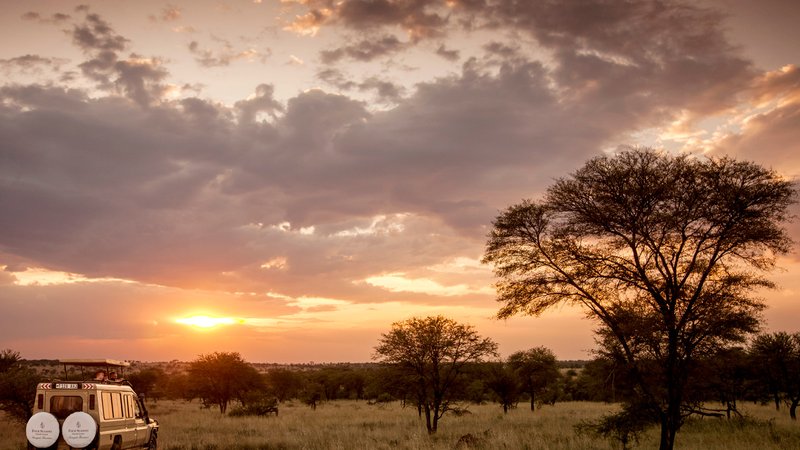5 Day Southern Region Safari at the Majete Wildlife Reserve and Mulanje Mountain Area in Malawi