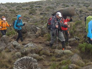 9 Day Machame Trekking Tour in Tanzania