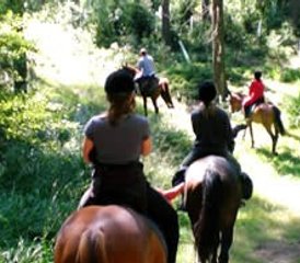 3 jours en stage d’équitation au cœur des montagnes centrales de Bohême, Litoměřice, République tchèque - Photo 4