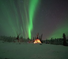 4 Tage Aurora-Beobachtung und Tierwelt und heiße Quellen Retreat in Yukon, Kanada - Photo 2