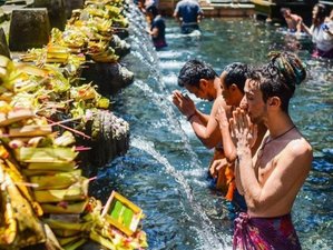 10 Day Heal: An Introduction to Self-Healing Retreat to Bali at The Ark, Ubud, in Indonesia