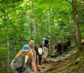 4-Daagse Wandel- en Yoga Vakantie in Maryville, USA - Photo 2