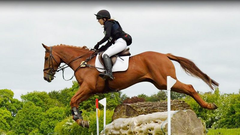 7 Day Horse Riding Holiday in Adare, Munster: Ireland’s Training and Trail Ride