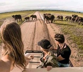 58 Day Best Tanzania Comfort Safari Migration River Crossing and Masai Boma Visit - Photo 1