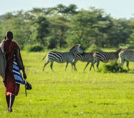 3 Tage Budgetfreundliche Gruppen-Safari in Tansania mit Wasserfällen und Kaffeetour - Photo 5
