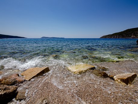 Vis