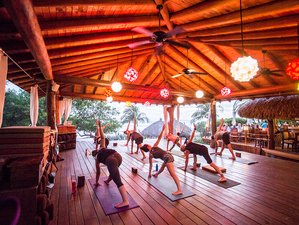 8 Day Surf and Yoga Holiday in Playa Troncones, Guerrero