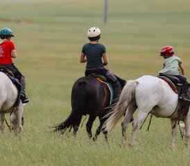 312 jours Steppe Rider : randonnée équestre en Mongolie - Photo 1