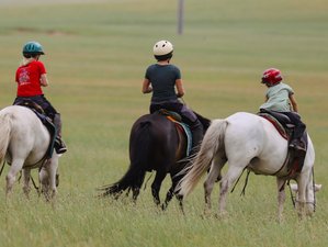 12 Day Steppe Rider Horseback Riding Tour in Mongolia