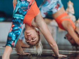 Odyssey MVMT 7 Days Yoga and Fitness Retreat in Canggu, Bali