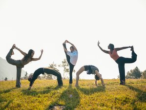 59 jours en formation de professeur de yoga avancée 500h à Rishikesh, Inde