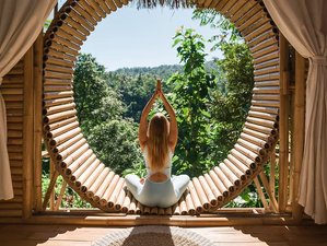  5 Day Spring Wellness Ayurvedic Retreat with Dr. Avanita in England, UK