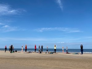 3-Daagse Meer dan Yoga Weekend in de Bossen van Castricum, Nederland