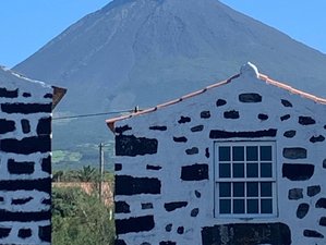 8-Daagse Retreat- en Natuurreis met Yoga op Pico, Azoren