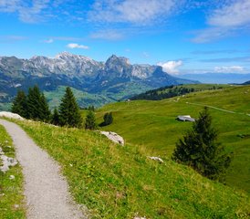 4 Tage Wandern und Sein Retreat mit Meditation und Yoga auf den Churfirsten, Toggenburg, Schweiz - Photo 5