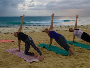 8 Days Discover Explore And Renew Yoga Retreat In Playa Del