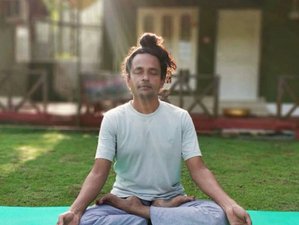 14 Day Ayurveda Panchakarma Detox Retreat in Cochin, India