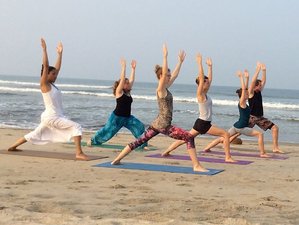 11 Day Best 100-Hour Luxurious Yoga Teacher Training In Kalpitiya, Sri Lanka