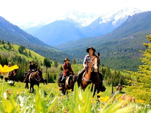 7 Day Mountain Goat Kid Counting and Conservation Horse Riding Tour in Canada