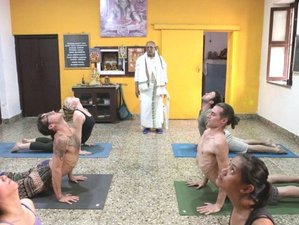 15 Day Ashtanga Master Immersion Yoga Retreat with Sri BNS Iyengar and Joey Paz in Mysore, Karnataka
