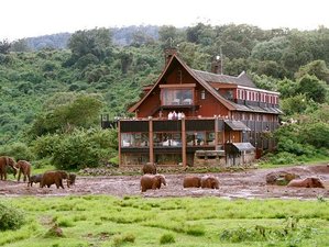 3 Day Aberdare Safari Experience and Luxury Stay at the Ark Lodge