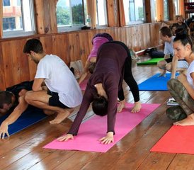 24 Tage 200-Stunden Yogalehrerausbildung in Rishikesh, Indien - Photo 4