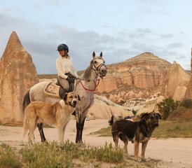 7 jours randonnée équestre sentier lycien en Turquie pour cavaliers expérimentés – Chase Pegasus - Photo 2