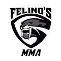 Felinos MMA Coach - portrait