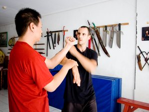 4 Day Traditional Wing Chun Training in Bali, Indonesia