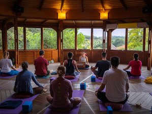 8 jours en retraite de yoga The Grace Within à Lesvos, Grèce