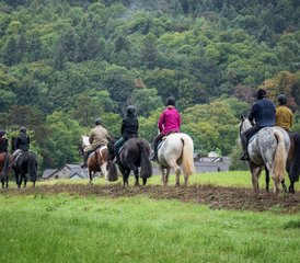 7 Day Luxury Horse Riding Holiday with Cultural and Foodie Experiences in Wicklow, Ireland  - Photo 2