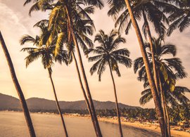 Goa Retreats & Trips