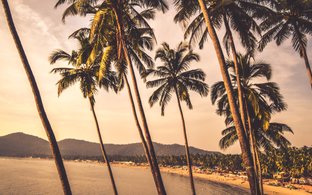 Goa Retraites en Reizen