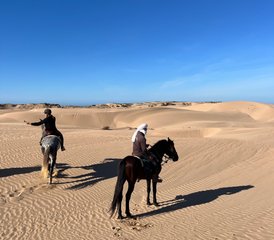 47 jours de randonnée équestre Cavalcade au cœur d’Essaouira au Maroc - Photo 1