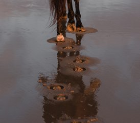 3 Day Sidi Kaouki Trek: Adventure, Relaxation, and Sunset Magic Horse Riding Holiday in Morocco - Photo 4