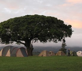 5 jours en safari de camping du meilleur du lac Manyara, du Serengeti et du Ngorongoro en Tanzanie - Photo 5