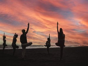 7 Day Transformative Wellness, Yoga, and Ayurveda Massage Retreat on the South Coast of Sri Lanka