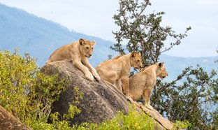 Kenia Retreats und Reisen