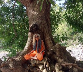 76 jours en stage de yoga et méditation pour une renaissance en Guadeloupe - Photo 1