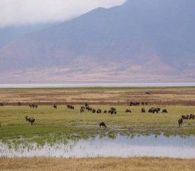4-Daagse Tarangire, Manyara en Ngorongoro Budget-Safari Avontuur in Tanzania - Photo 2