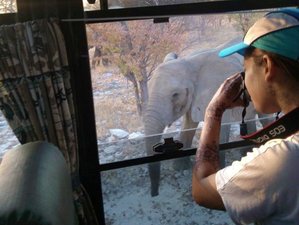 6 Day Sand, Sea, and Etosha Budget Camping Safari in Namibia