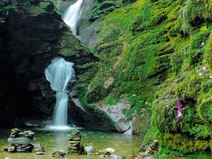 3 Day Yoga, Meditation, and Deep Healing Retreat in the Heart of an Ancient Cornish Forest, England