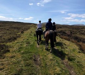 6 Day Clew Bay Trail Horse Riding Holiday Along Ireland’s Wild Atlantic Way - Photo 2