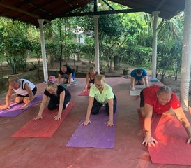 115 jours en stage d'Ayurveda Panchakarma et de yoga à Dickwella, Province du Sud, Sri Lanka - Photo 1