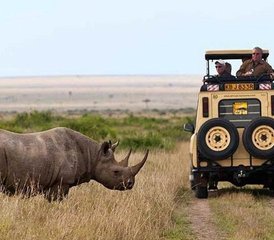 95 jours safari animalier privé à Ol Pejeta, au lac Nakuru et au Maasai Mara, Kenya - Photo 1